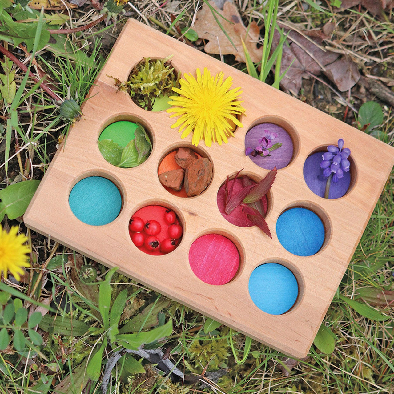 Grimm’s Rainbow Sorting Board