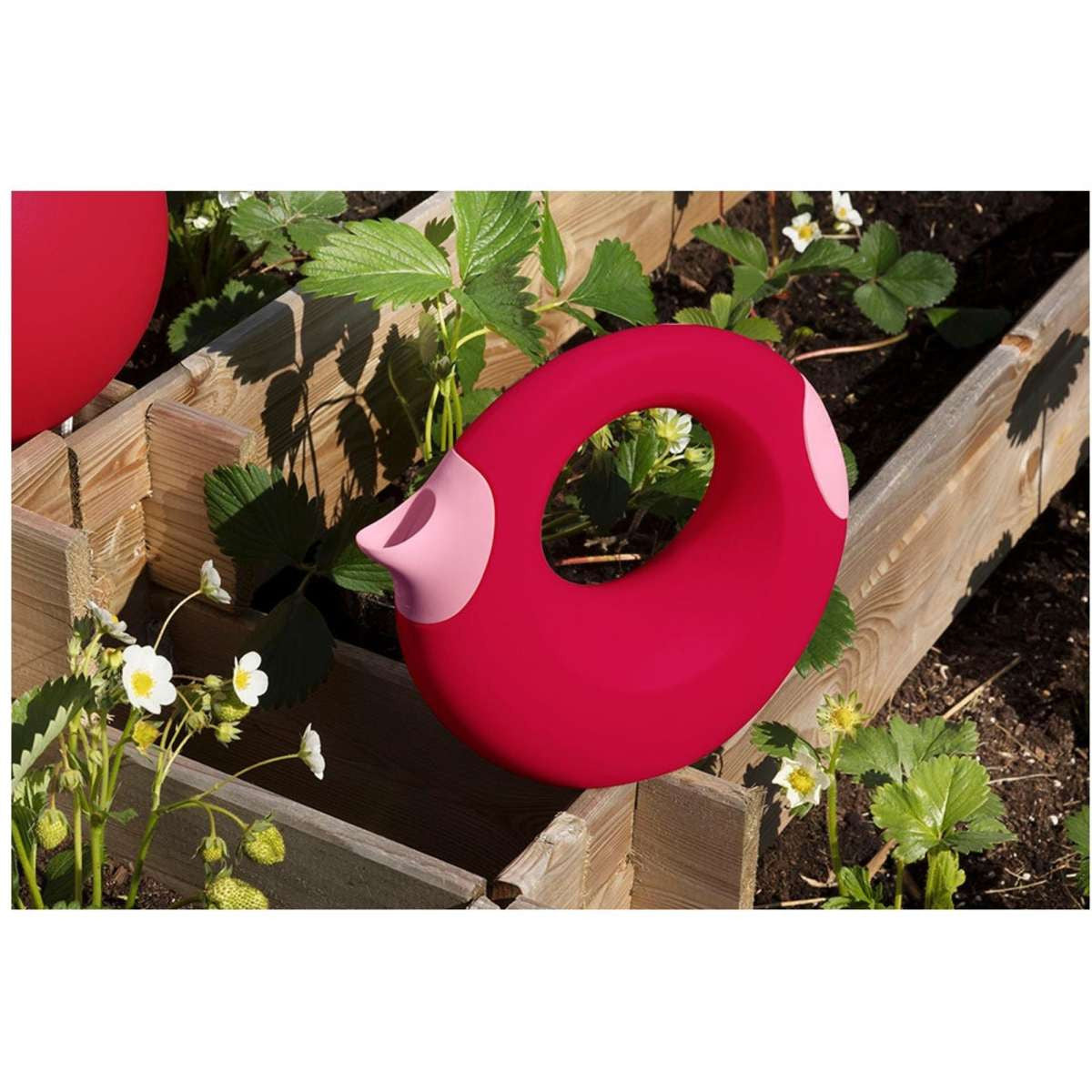Quut - Cana Large (1L) - Cherry Red + Sweet pink