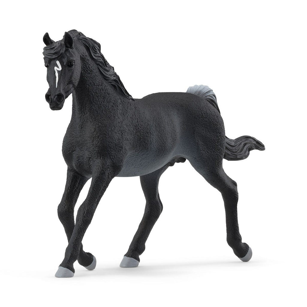 Schleich - Arabian Stallion 13981