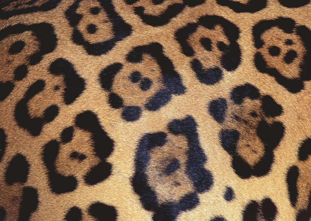Ravensburger 1000pc Animal Print Puzzle