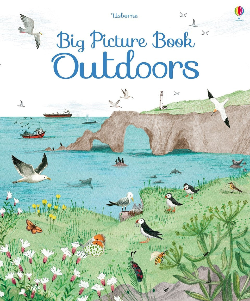 Usborne- Big Picture Book of Outdoors
