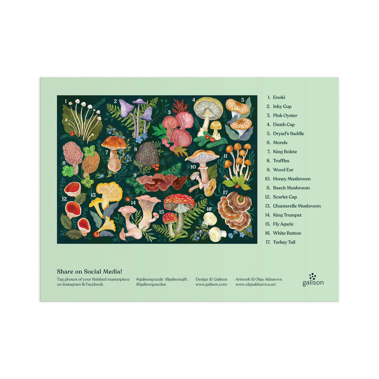 Galison 1000pc - World of Mushrooms Puzzle