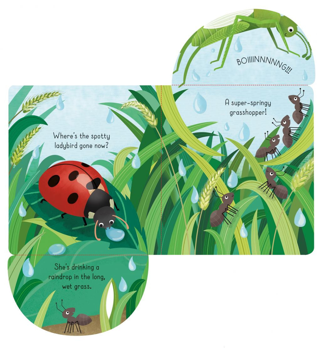 Usborne - Little Lift and Look Bugs