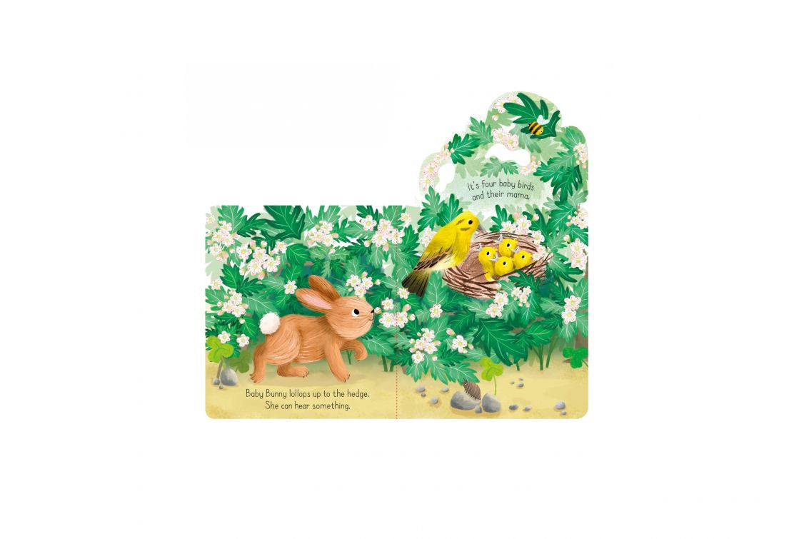 Usborne - Little Lift and Look Baby Bunny