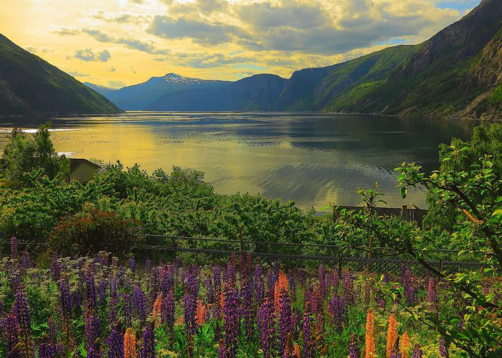 Ravensburger 1000pc - Scandinavian Places - Fjord in Norway Puzzle