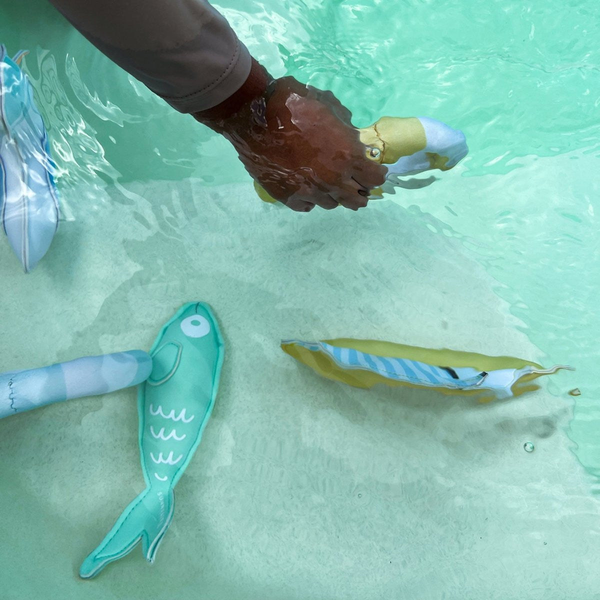Sunnylife - Dive Buddies - Sammy the Seagull 6pc