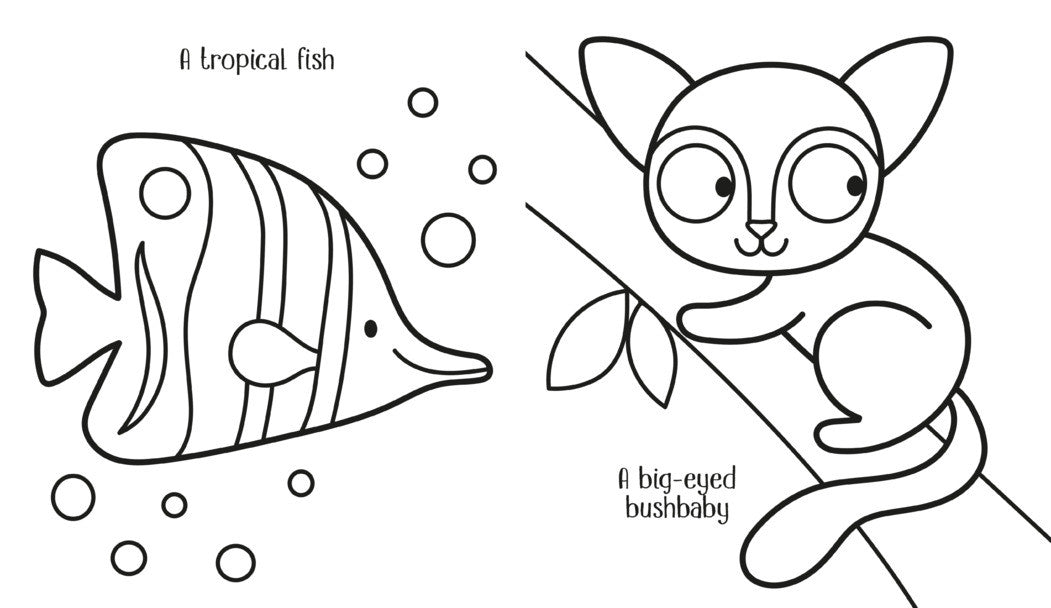 Usborne - My Big Animal Colouring Book