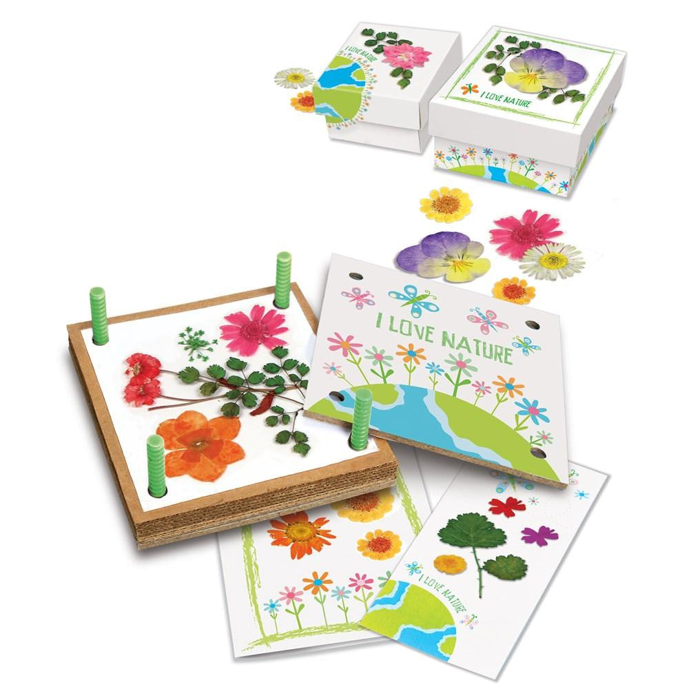 4M - Green Creativity - Pressed Flower Art