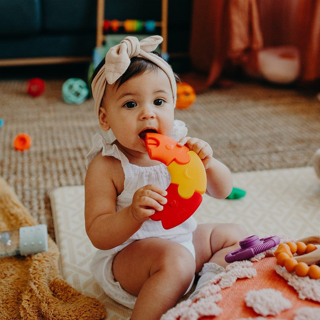 Jellystone - Colour Wheel - Rainbow Bright