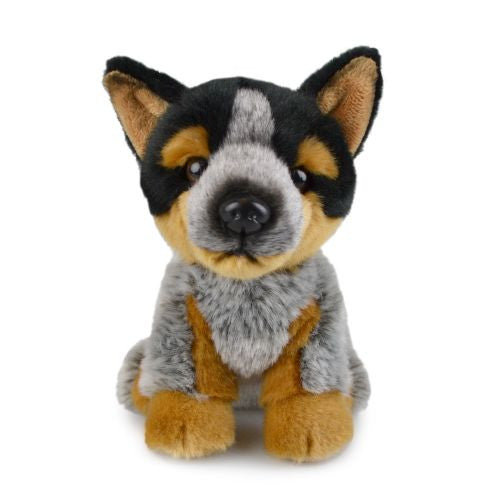 Korimco Lil Friends - Blue Heeler Plush 18cm