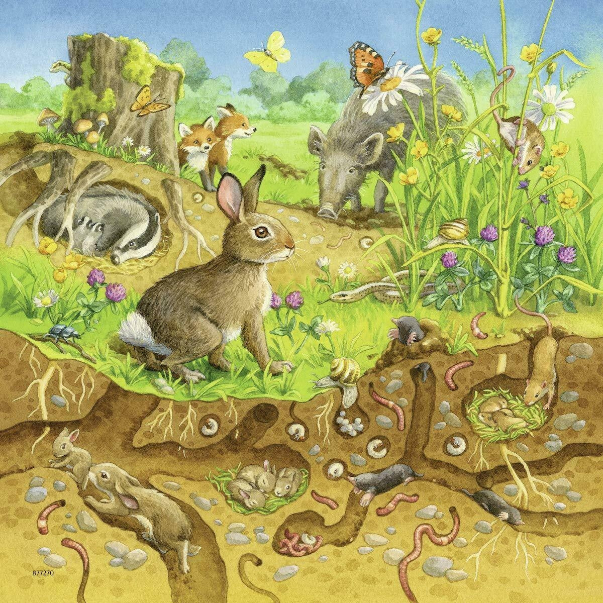 Ravensburger 3x49pc - Animals in their Habitats Puzzle