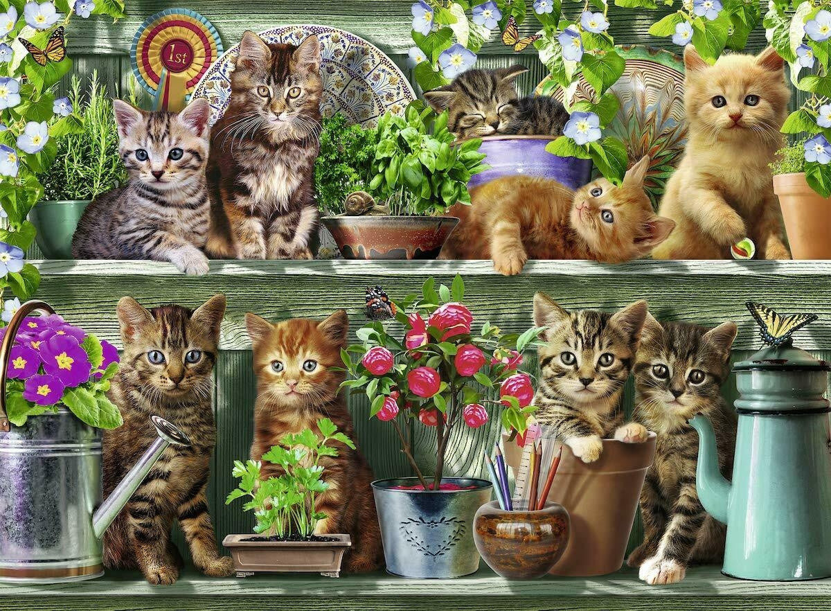 Ravensburger 500pc - Cats on the Shelf Puzzle