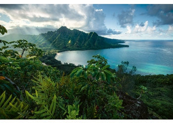 Ravensburger 5000pc - Hawaiian Viewpoint Puzzle