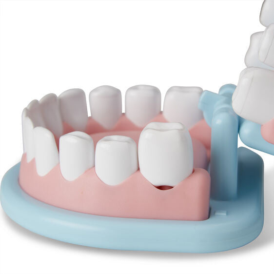 Melissa & Doug - Super Smile Dentist Play Set