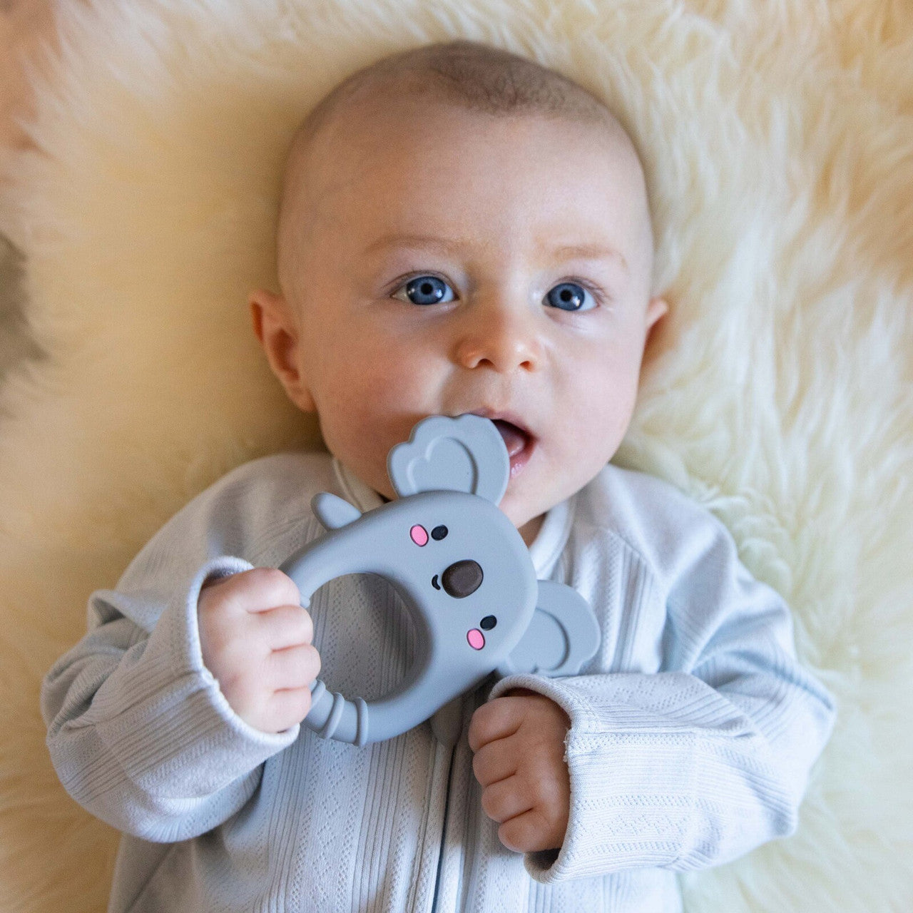 Tiger Tribe - Silicone Teether - Koala