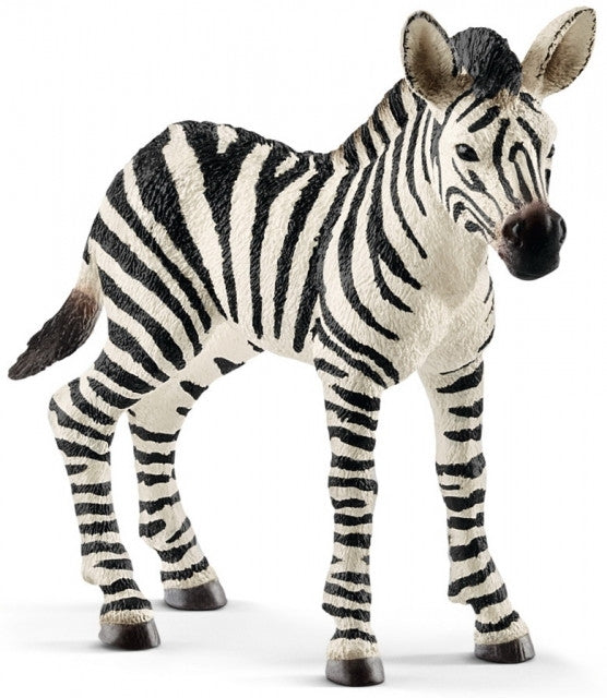 Schleich - Zebra Foal 14811