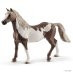 Schleich Horse Club - Paint horse gelding 13885**shelf wear**