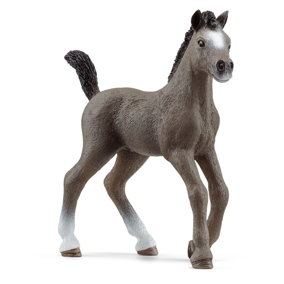Schleich Horses - Selle Français Foal 13957