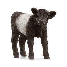 Schleich - Farm World - Galloway Calf 13969