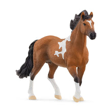 Schleich - Mangalarga Marchador Stallion 13978
