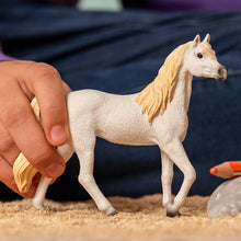 Schleich -  Arab Mare 13983