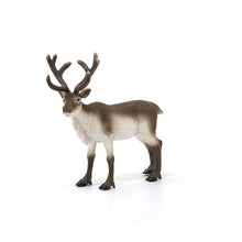Schleich Wild Life - Reindeer 14837