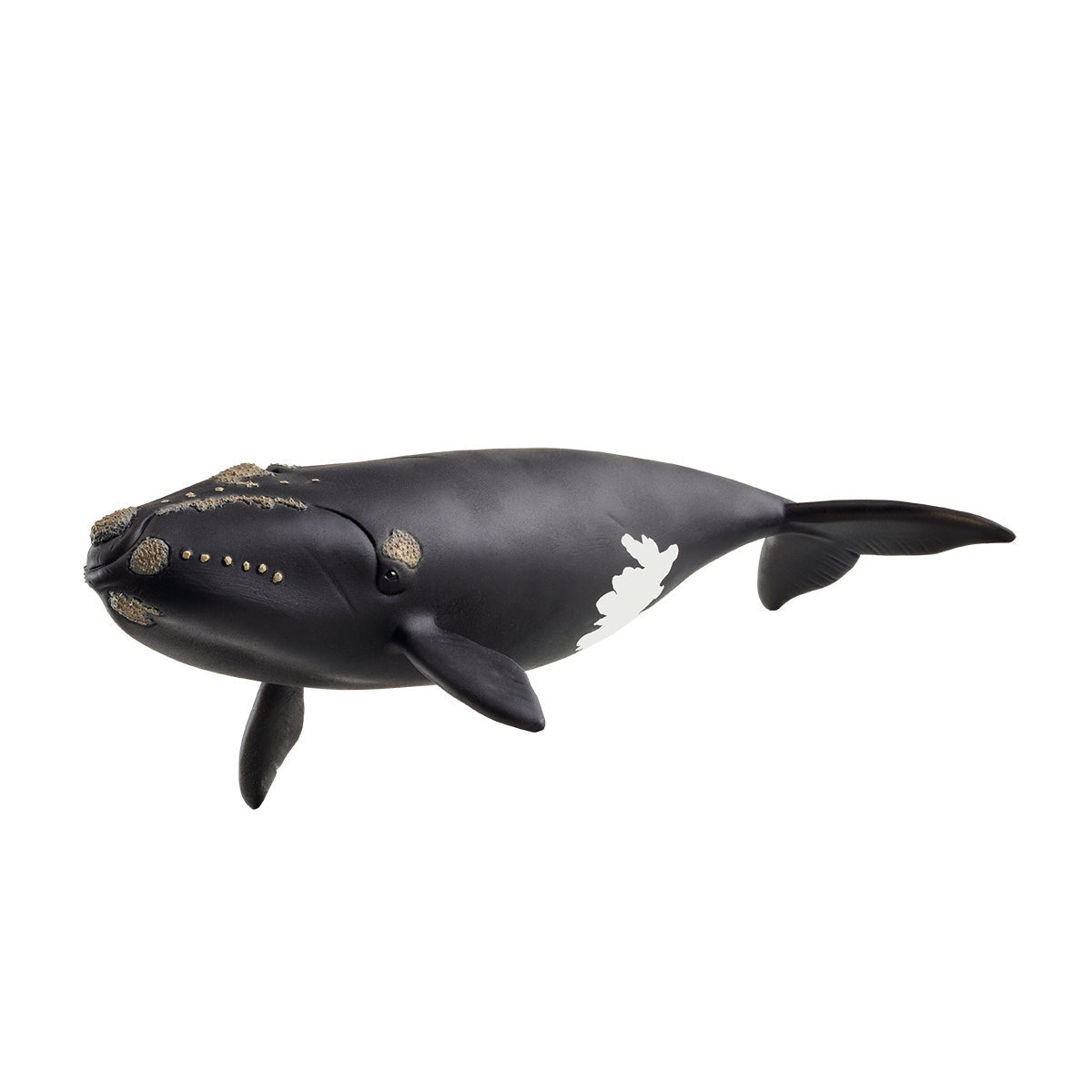 Schleich - North Atlantic Right Whale 14878