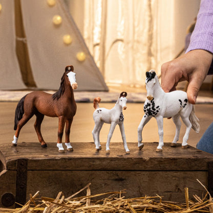 Schleich - Marwari Stallion 14898
