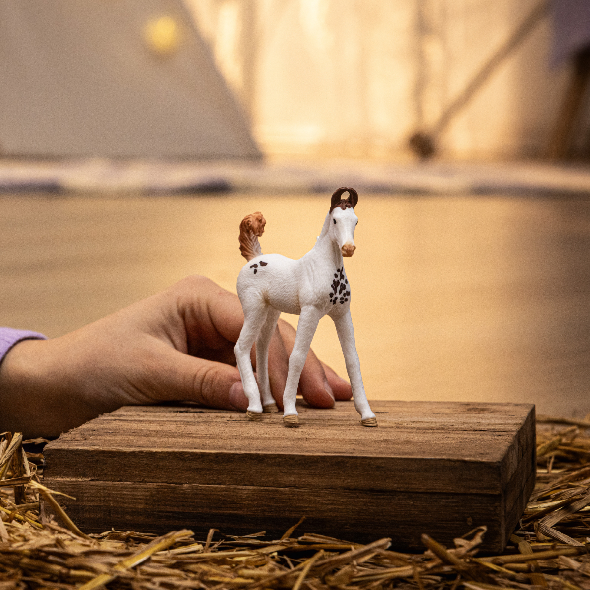 Schleich Horse Club - Marwari Foal 14896