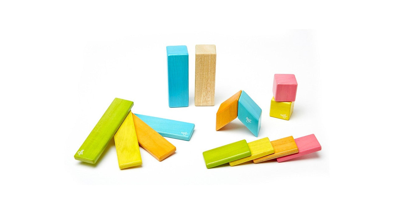 Tegu Magnetic Wooden Blocks Tints 14 Pieces
