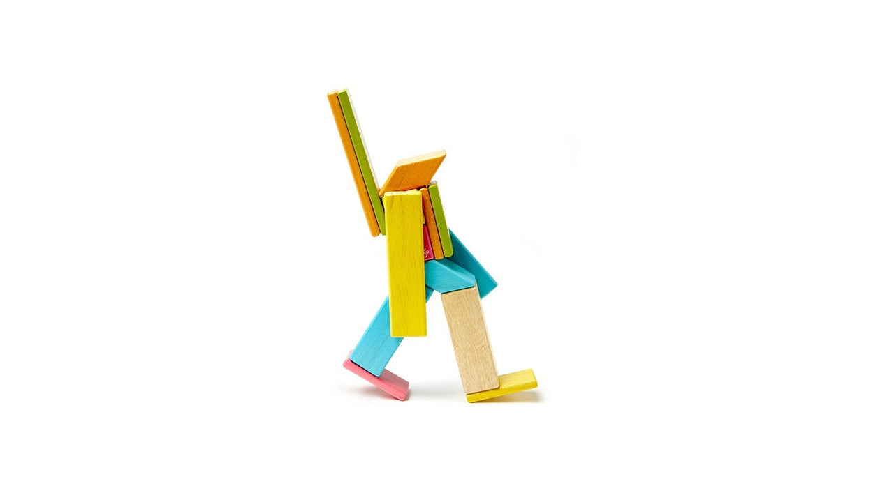 Tegu Magnetic Wooden Blocks Tints 14 Pieces