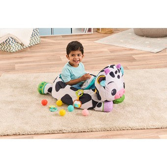 Vtech Baby - Moosical Activities Ball Pit
