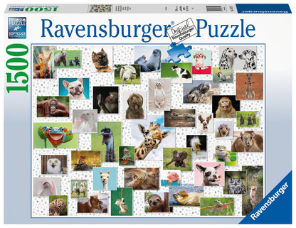 Ravensburger 1500pc - Funny Animals Puzzle