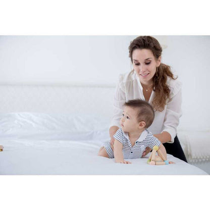 PlanToys - Triangle Clutching Toy - Pastel