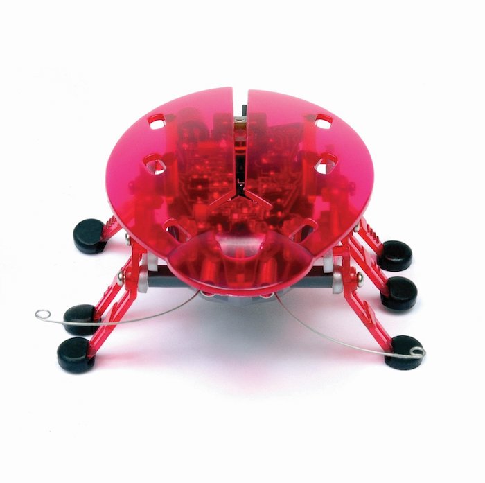 HEXBUG Beetle