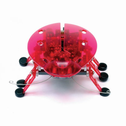HEXBUG Beetle
