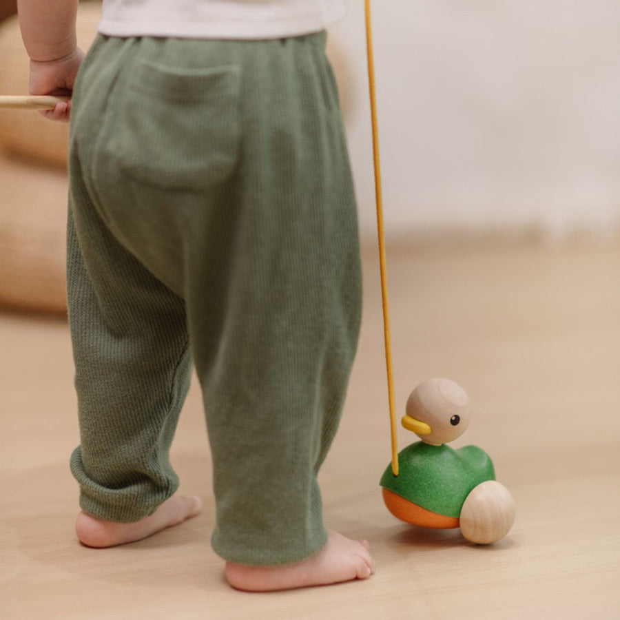 PlanToys - Montessori-Inspired Pull-Along Duck