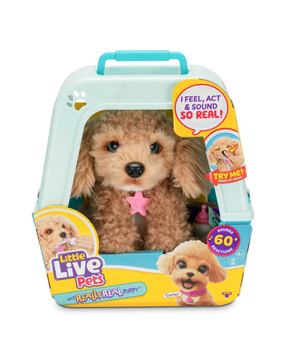 Little Live Pets My Really Real Puppy - Curley the Cavoodle