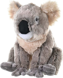 Wild Republic - CuddleKins Koala 30cm