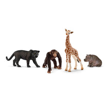Schleich Wild Life - Wildlife Safari Starter Set 72162