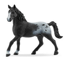 Schleich Horses - Knappstrupper Stallion Limited Edition 72197