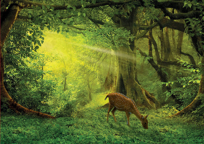 Educa 500pc - Little Deer Puzzle