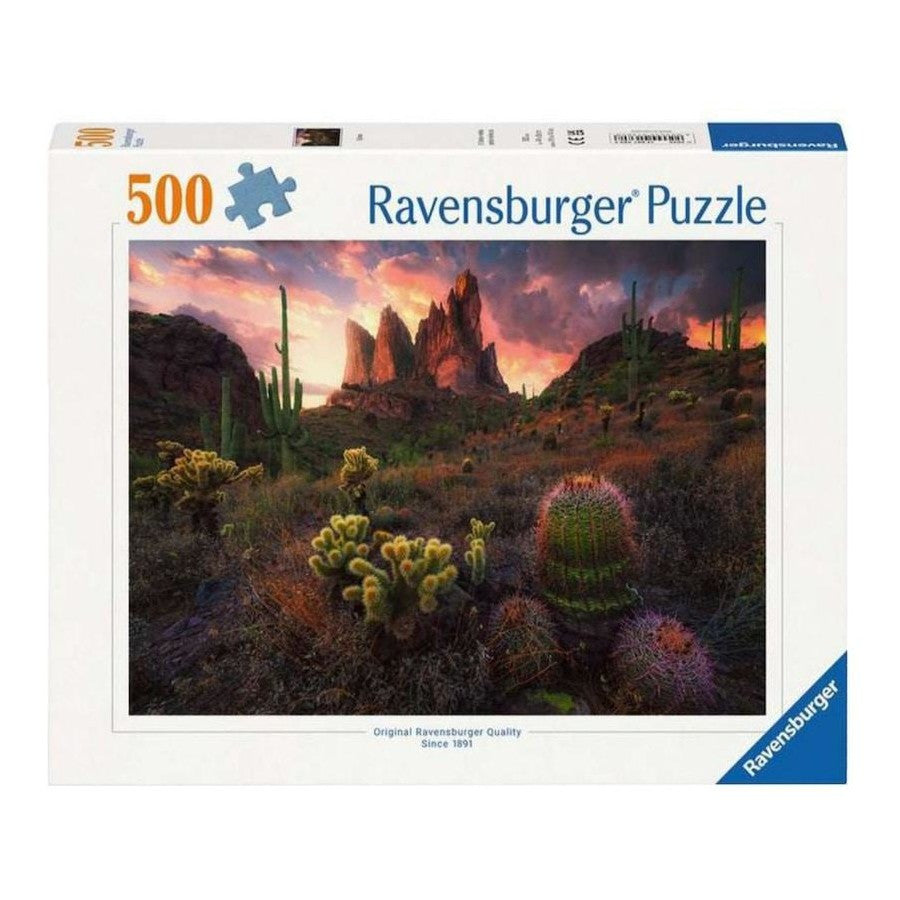 Rburg - Cactus 500p
