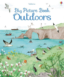 Usborne- Big Picture Book of Outdoors