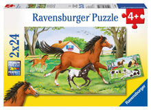 Ravensburger 2x24pc - World of Horses Puzzle