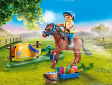 Playmobil Country -  Pony Farm - Collectible Welsh Pony 70523