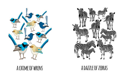 101 Collective Nouns