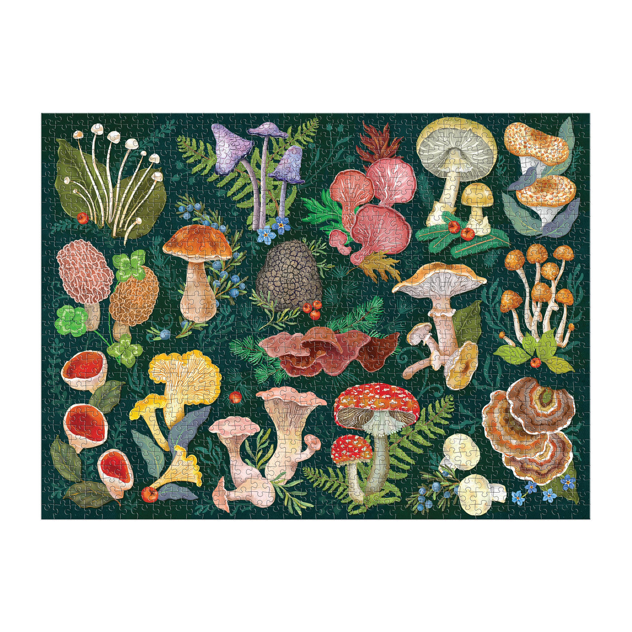 Galison 1000pc - World of Mushrooms Puzzle