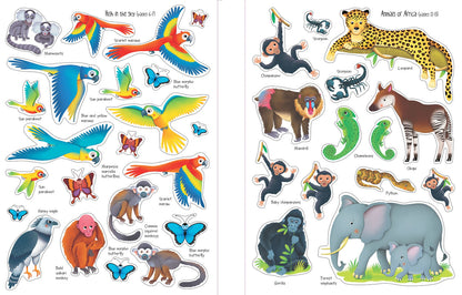 Usborne First Sticker Book: Jungle