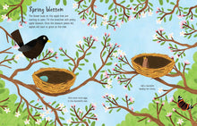 Usborne - First Sticker Book - Seasons